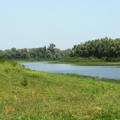 Жукин – Десна – Київ (2009)