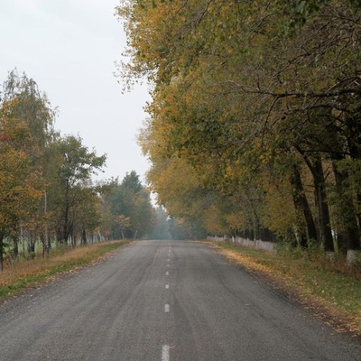Золота осінь у Київській обл. (2007)