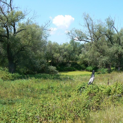 Деснянські маніяцтва