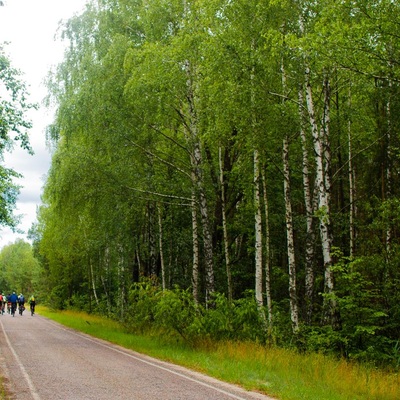 Сухолучча на велосипеді