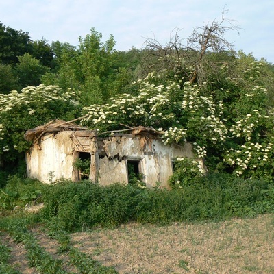 Велоекспрес Полтава – Київ (2009)