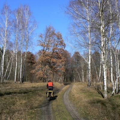 ТБВНК (2014)