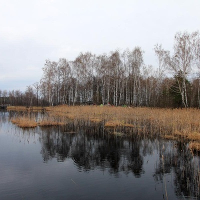 Великодне Полісся (2012)