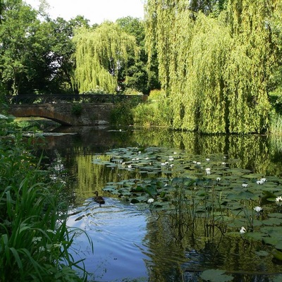 Біла Церква – Миронівка (2008)