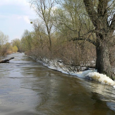 Деснянські маніяцтва