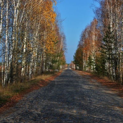 Незвідане Полісся (2013)