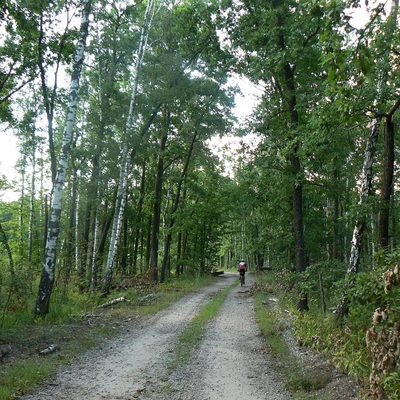 Деснянські маніяцтва