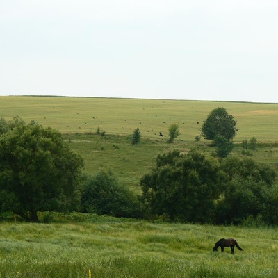 Стрий – Жмеринка (2013)