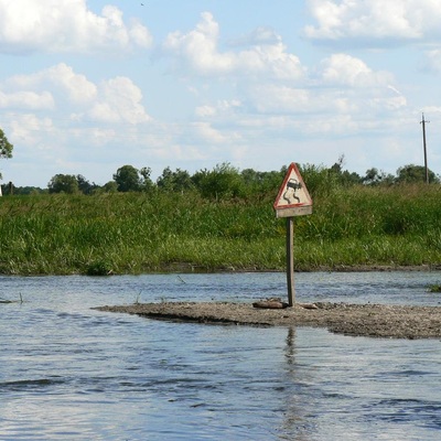 Біла Церква – Миронівка (2008)