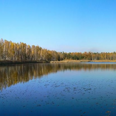 Дослідницьке Полісся (2014)