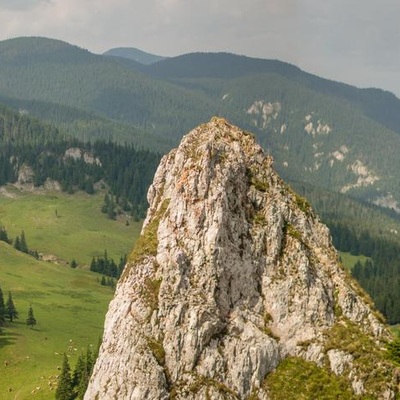 Румунія (2014)