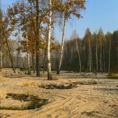 Дослідницьке Полісся (2014)
