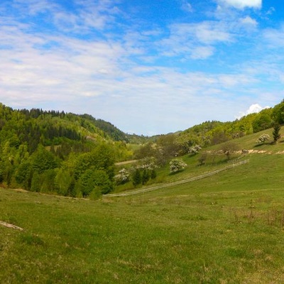 Товтро-Карпатський рейд