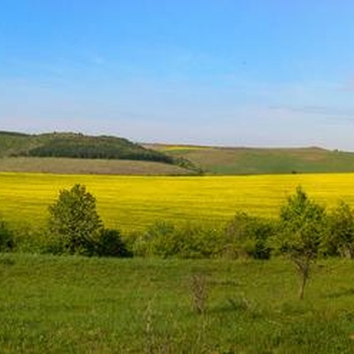 Товтро-Карпатський рейд