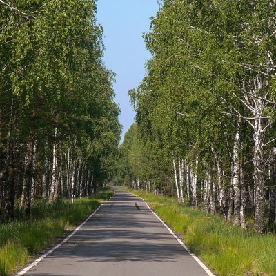 Дніпровсько-Тетерівський заповідник