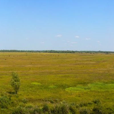 Остерський небаян