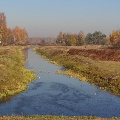 У Полісся за яблучками