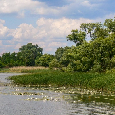 Дніпровсько-Тетерівський заповідник