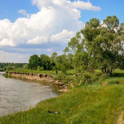 Дніпровсько-Тетерівський заповідник