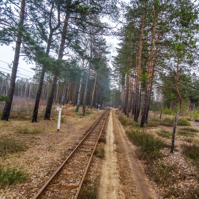 Поліська вузькоколійка