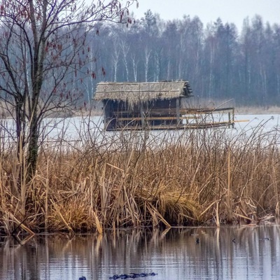 Поліська вузькоколійка