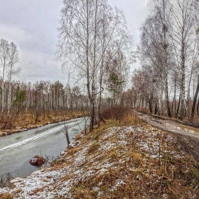 Поліська вузькоколійка