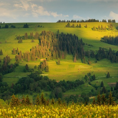 Карпаты в Июне