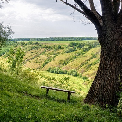 Подільські Товтри