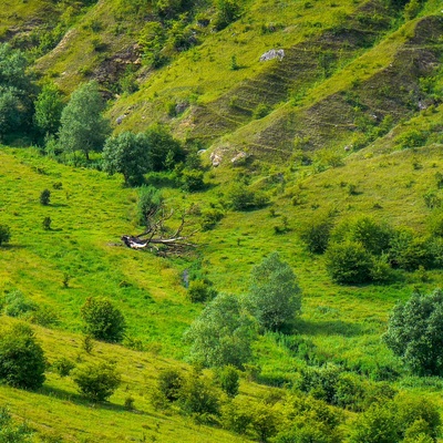 Подільські Товтри