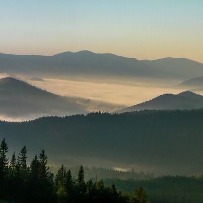 Грибна Чорногора