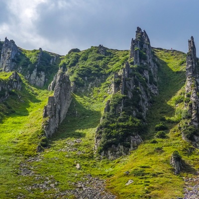 Грибна Чорногора