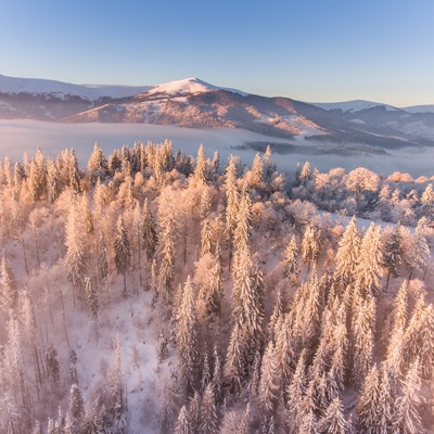 Зимові Карпати