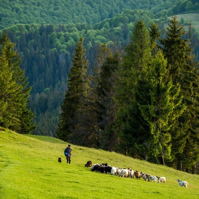 Карпати. Ізкі