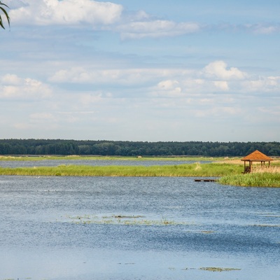 Дніпровсько-Тетерівський заповідник