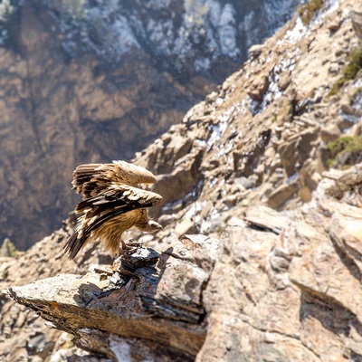 Annapurna Curcuit By bike