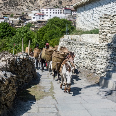 Annapurna Curcuit By bike