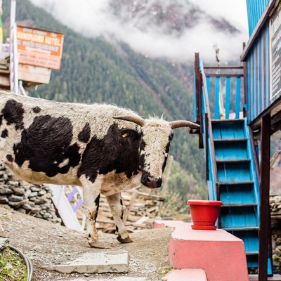 Annapurna Curcuit By bike