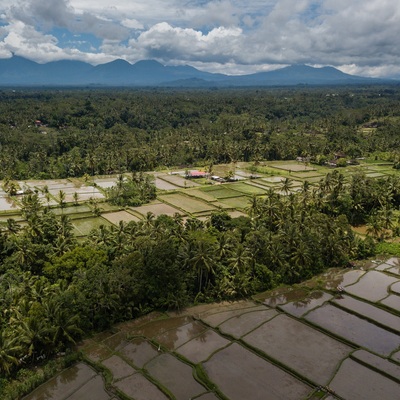 Indonesia. Bali. Ubud