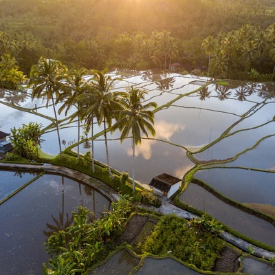 Indonesia. Bali. Ubud