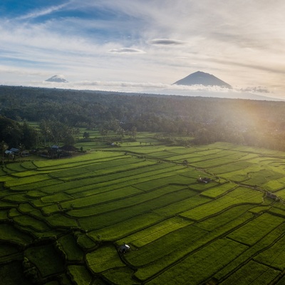 Indonesia. Bali. Ubud