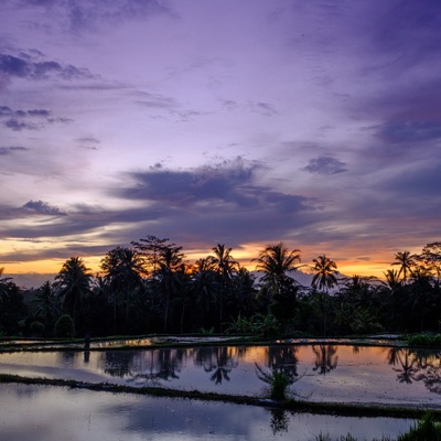 Indonesia. Bali. Ubud