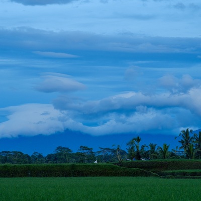 Indonesia. Bali. Ubud