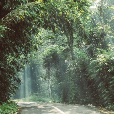 Indonesia. Bali. Ubud