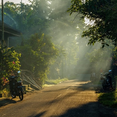 Indonesia. Bali. Ubud