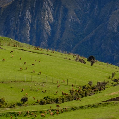 New Zealand 2018. South island