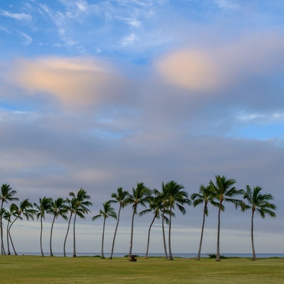 Hawaii. Oahu
