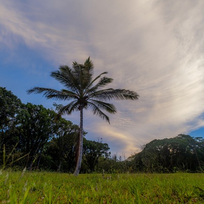 Hawaii. Big Island