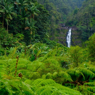 Hawaii. Big Island