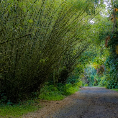 Hawaii. Big Island