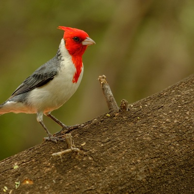 Hawaii. Maui